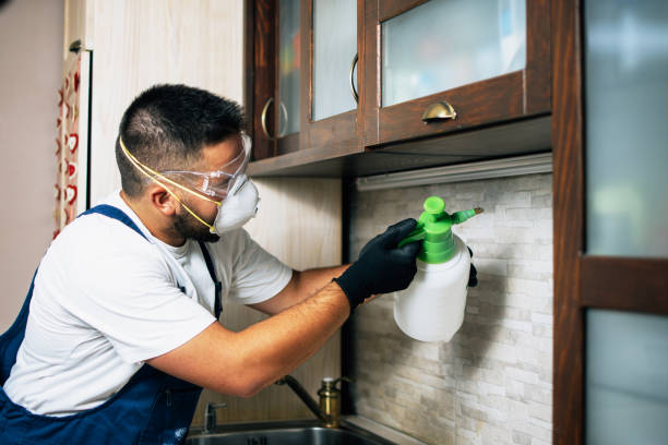 Best Cockroach Control Services  in Dyersburg, TN