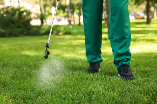 Best Termite Control Services  in Dyersburg, TN