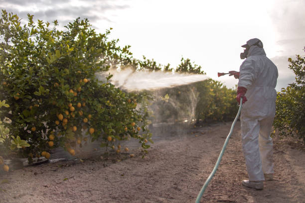Pest Control Cost in Dyersburg, TN
