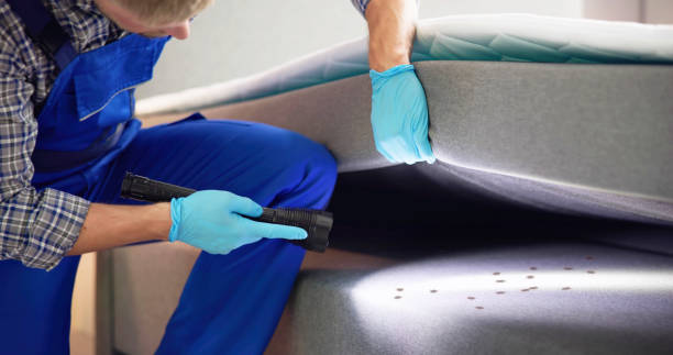 Best Pest Inspection Near Me  in Dyersburg, TN