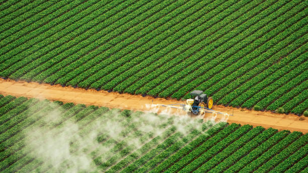 Best Pest Removal Services  in Dyersburg, TN