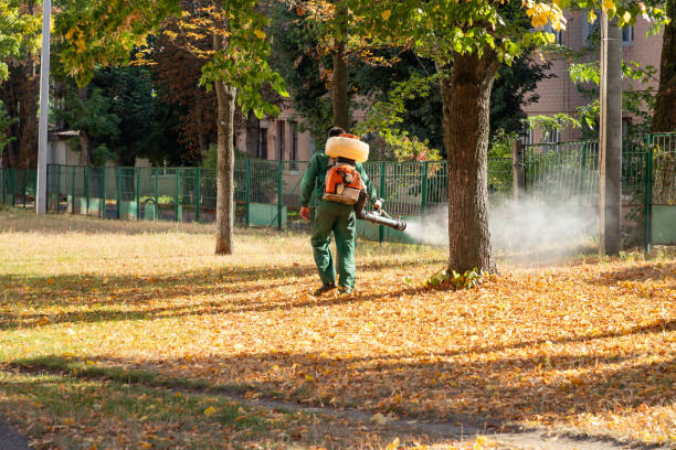Best Best Pest Control Companies  in Dyersburg, TN
